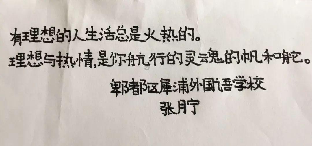 救援可爱小猪仔
